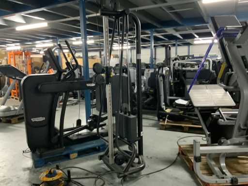 Elementul Technogym cu scripete ercolina Multi-gym