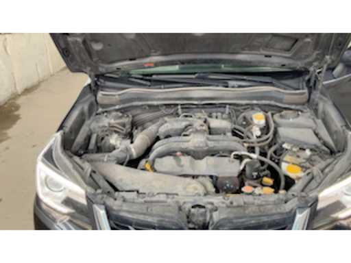 467360a0-e9c2-41dd-ba27-5dd81d92ec9c.mp4