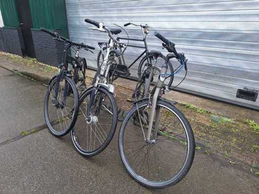 4x Fiets Gazelle, Cube, BSP heren dames (4x)