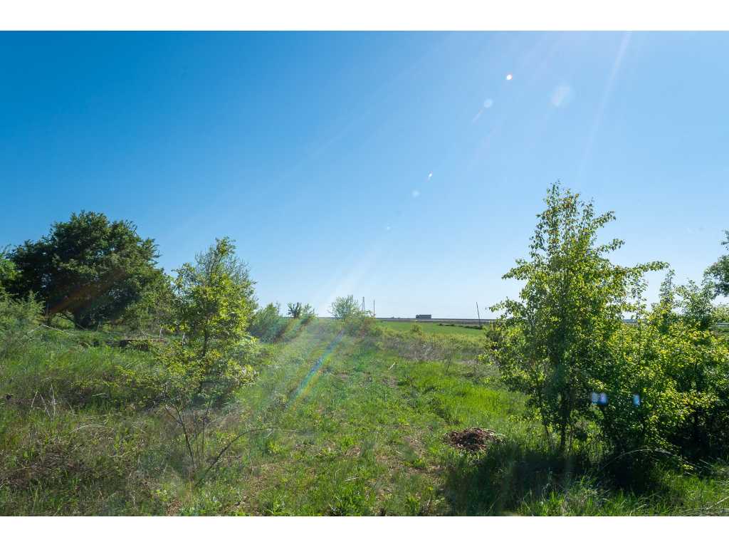 14,304 m2 of forest land