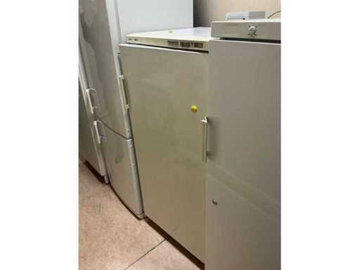 Congelatorul Bosch GSL2613F