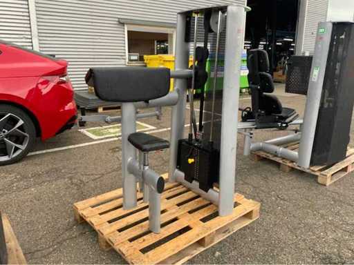 Gym80 Signum Bicepscurl Krachtstation