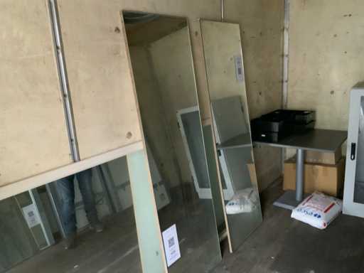 Ganzkörperspiegel (2x)