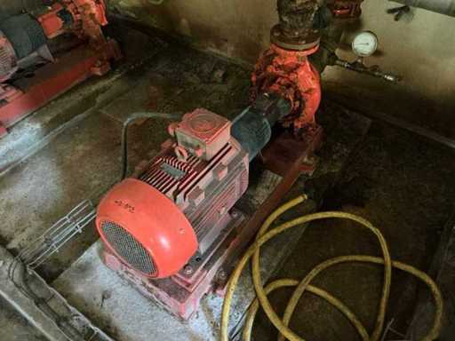 TEE Q3E 160L2D-40 Pumpe