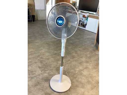 Fan Rowenty