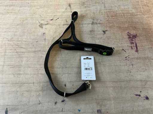 Party Dog supplies (37x)