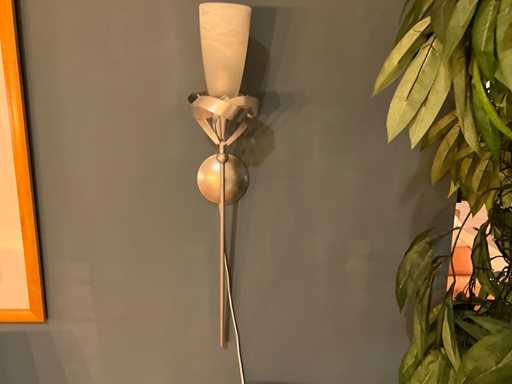 Pierre Wandlamp RVS (2x)