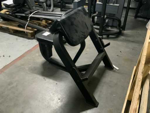 AP biceps bench Multi-gym
