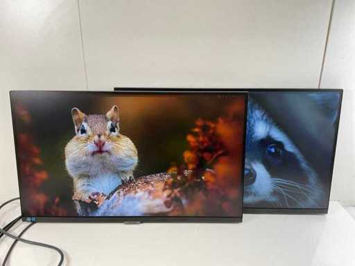 Moniteurs IPS Samsung (S27A600UUU) 27", 2560x1440 (QHD) (2x)