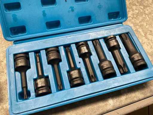 Xptools DS08TT Doppenset torx