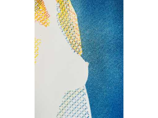 Ellen - colour screen printing 