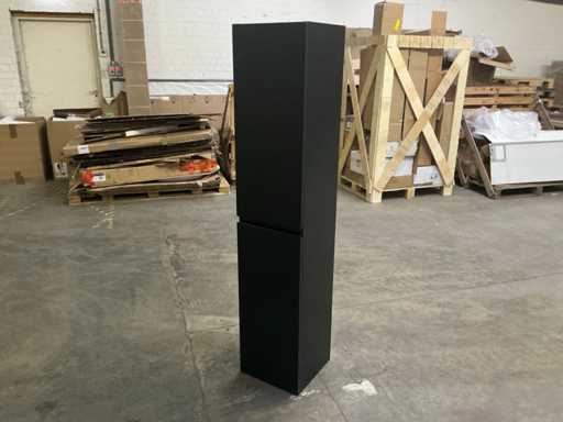 Säulenschrank mattschwarz 170 cm