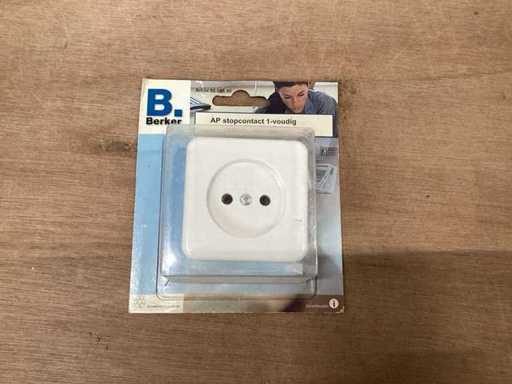 Presa Berker, unidirezionale, senza terra, bianco polare (36x)