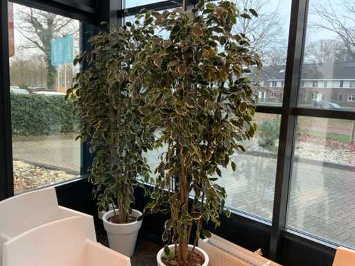 Kunstplant in pot (2x)