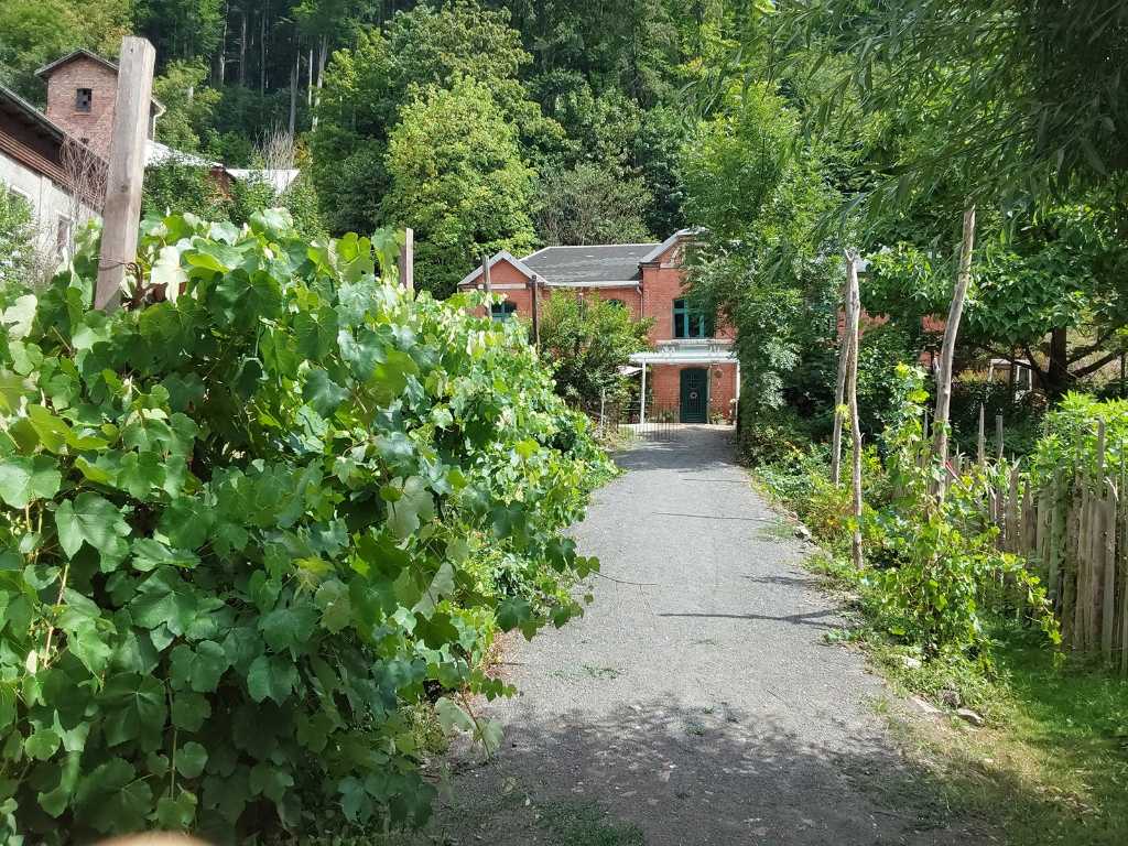 Villa sur terrain de 1,8 ha, jardin, forêt, sauna, source + entreprise à Sonneberg - Allemagne