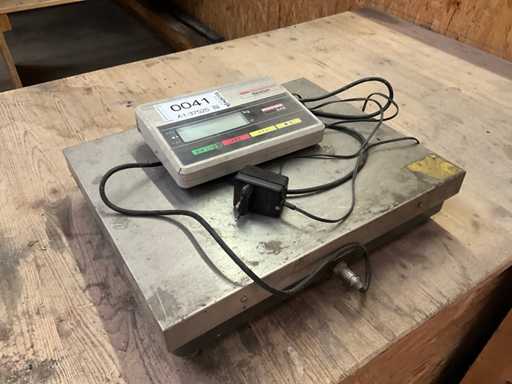 Weegschaal Rhewa 942 20g-60kg