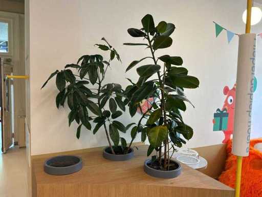 Gray planter (3x)