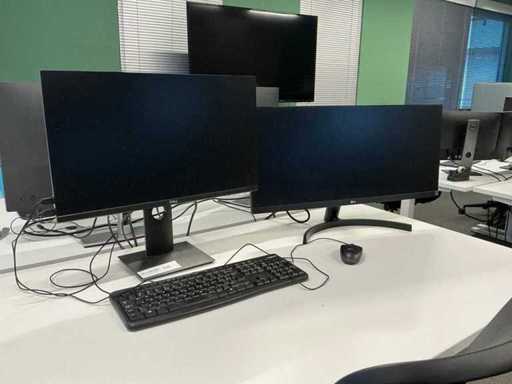 Dell/LG P2419HC/29WL500 Monitor (2x)