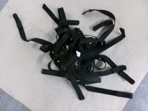 NL Belt without Clasp (U1) (109x)