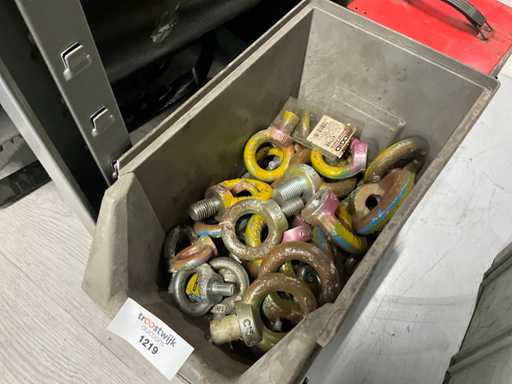 Boulons à œil de série