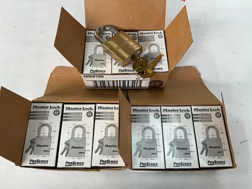 Série Pro de Master Lock Padlock (18x)