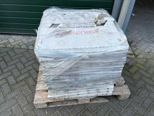 ECOCERAMIC - Pallet Vloer-en Wandtegels