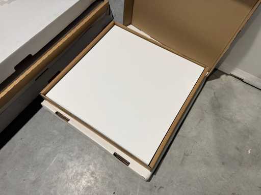 Ecosun - 600 U - Infraroodpaneel (2x)