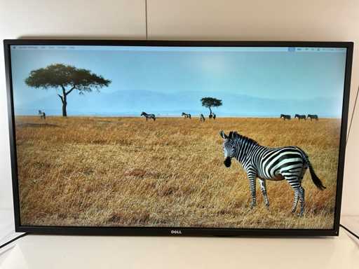 Dell (P4317Q) 43", 3840x2160 (UHD) LCD Monitor