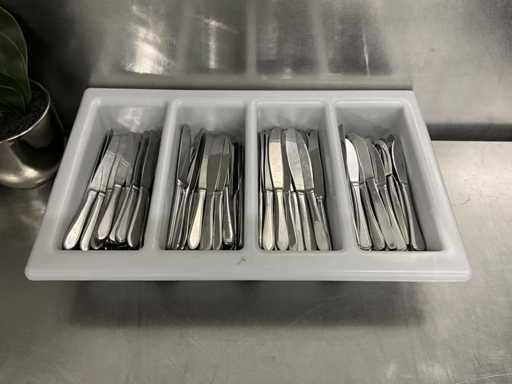 Cutlery tray with knives