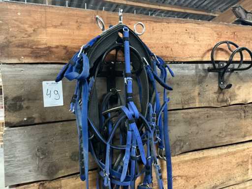 Pony harness