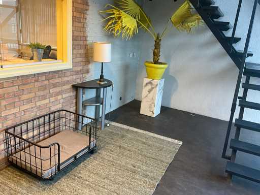 Inrichting ontvangstruimte v.v. plant, zuil, tapijt en mand