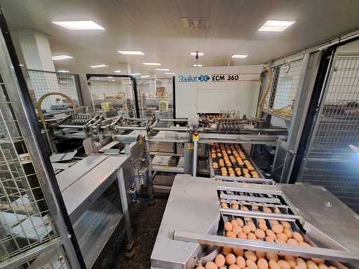 Staalkat - ECM360 - Eierbeoordelingsmachine - 2008