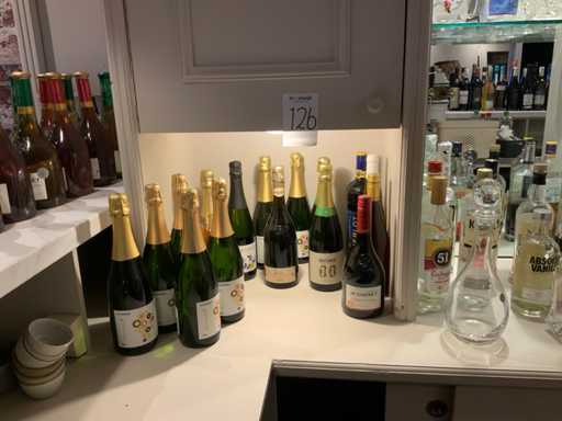 Vari tipi di vino e liquori (16x)