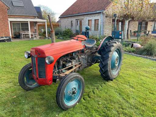 1954 Massey Ferguson TE20 Oldtimer tractor