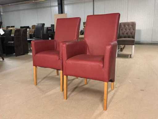 Rozza Leder-Esssessel (2x)