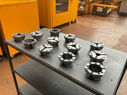 Hainbuch Klemmen-Ellement (12x)