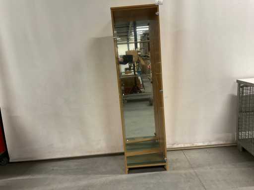 Vitrine (190x50x44)