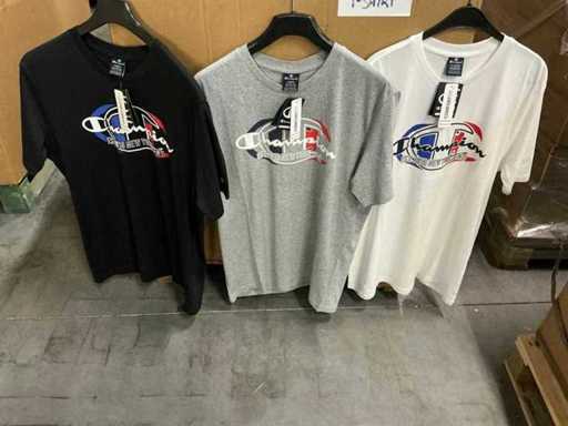Partij Champion t-shirts grey/white/black (278x)