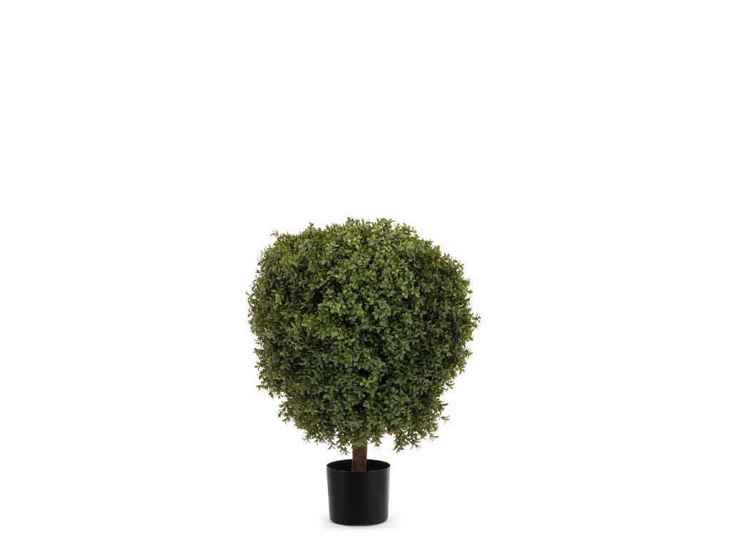 5 x Small boxwood tree - Artificial plant - 80 cm