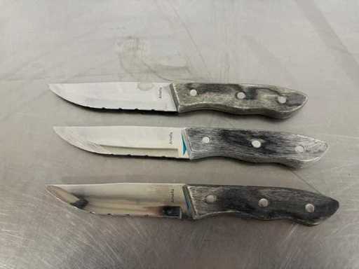 Amefa Hercule - Steak Knife (16x)