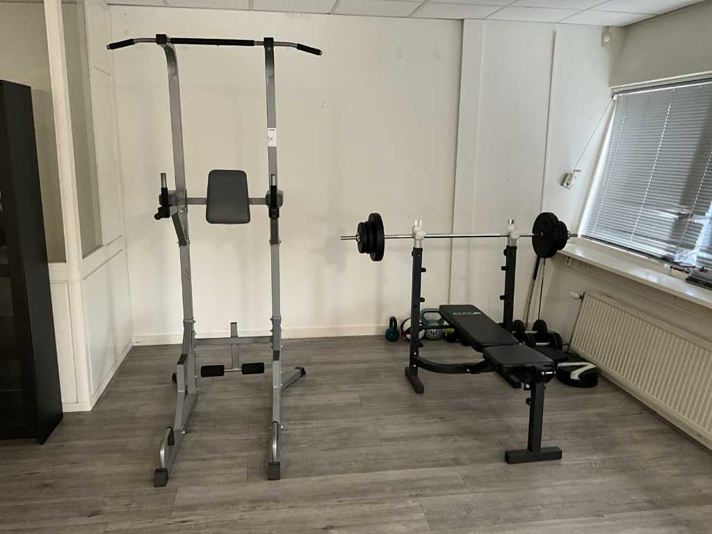 Power tower / weight bench