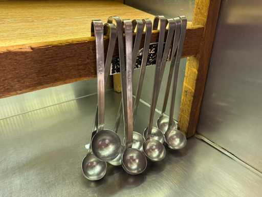 RVS opscheplepel (10x)