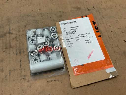 Ersatzteile zum Rückschlagventil-Kit (2x)