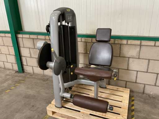 Selecția Technogym Extension a piciorului