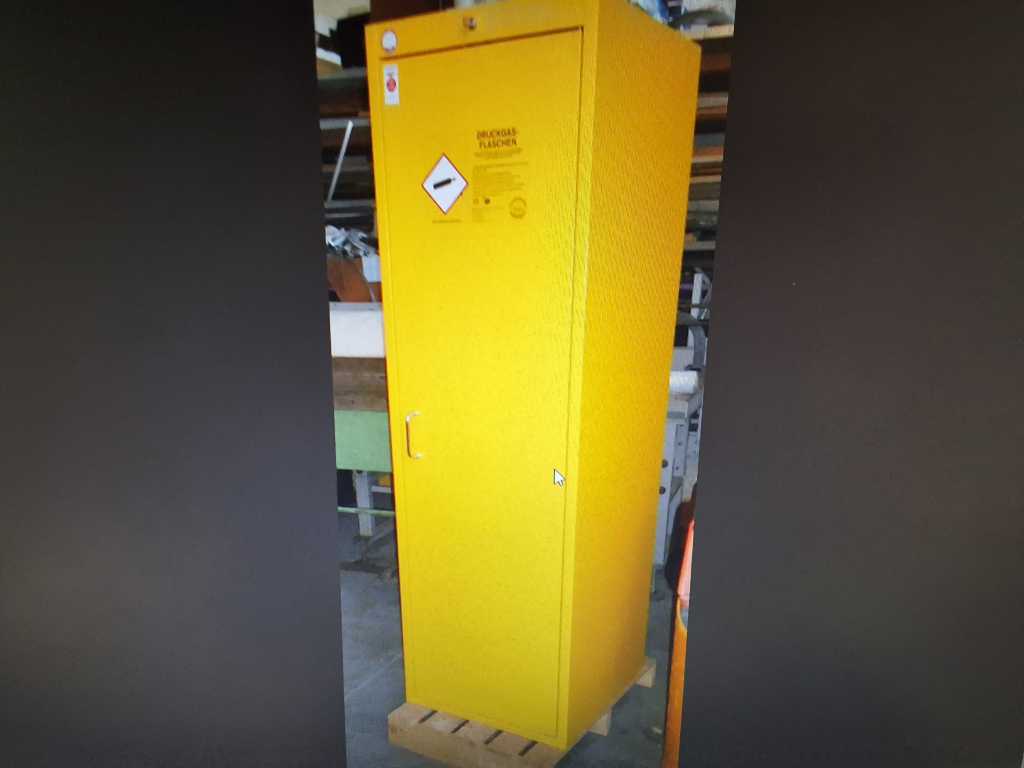 SAP Umwelttechnologie - TRG197.60.R - Safety cabinet for 2 gas cylinders