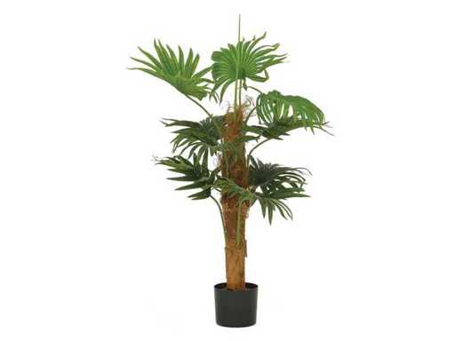 Artificial plant KWAI 100cm (3x)
