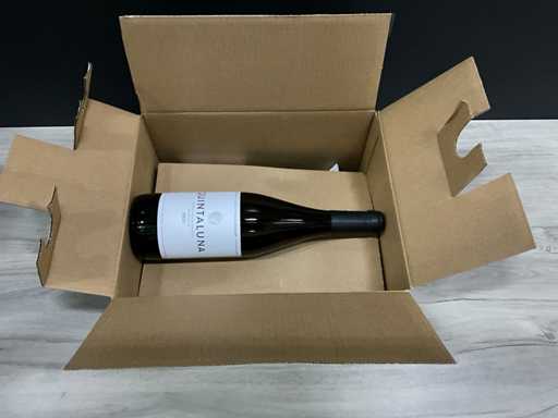 Ossian Quintaluna Verdejo 2022 (4x)