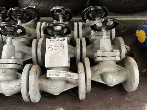 Valvola di ritegno in ghisa DN 25 PN 16 (15x)