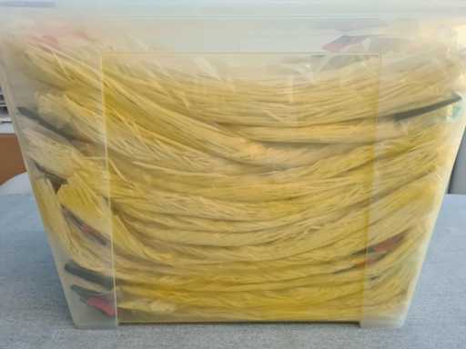 Thema & carnavalskleding holarokken bleek