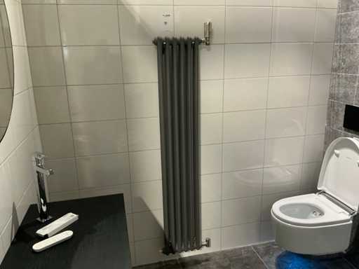 Radiateur design à 2 colonnes
